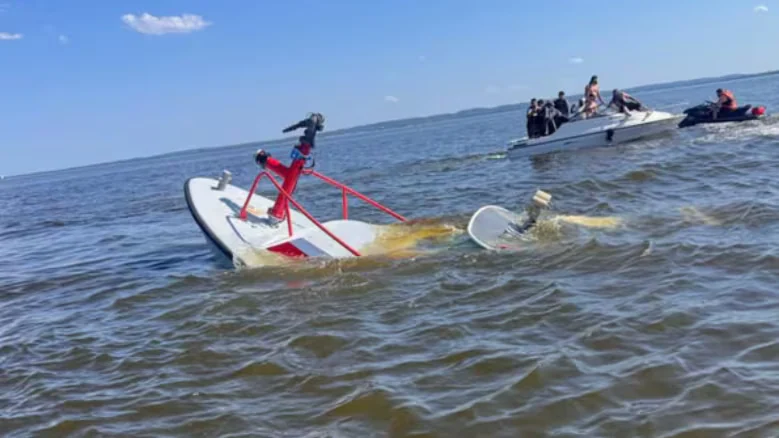 Una ballena hundió una lancha de bomberos en Nueva Jersey y desencadenó un rescate contrarreloj