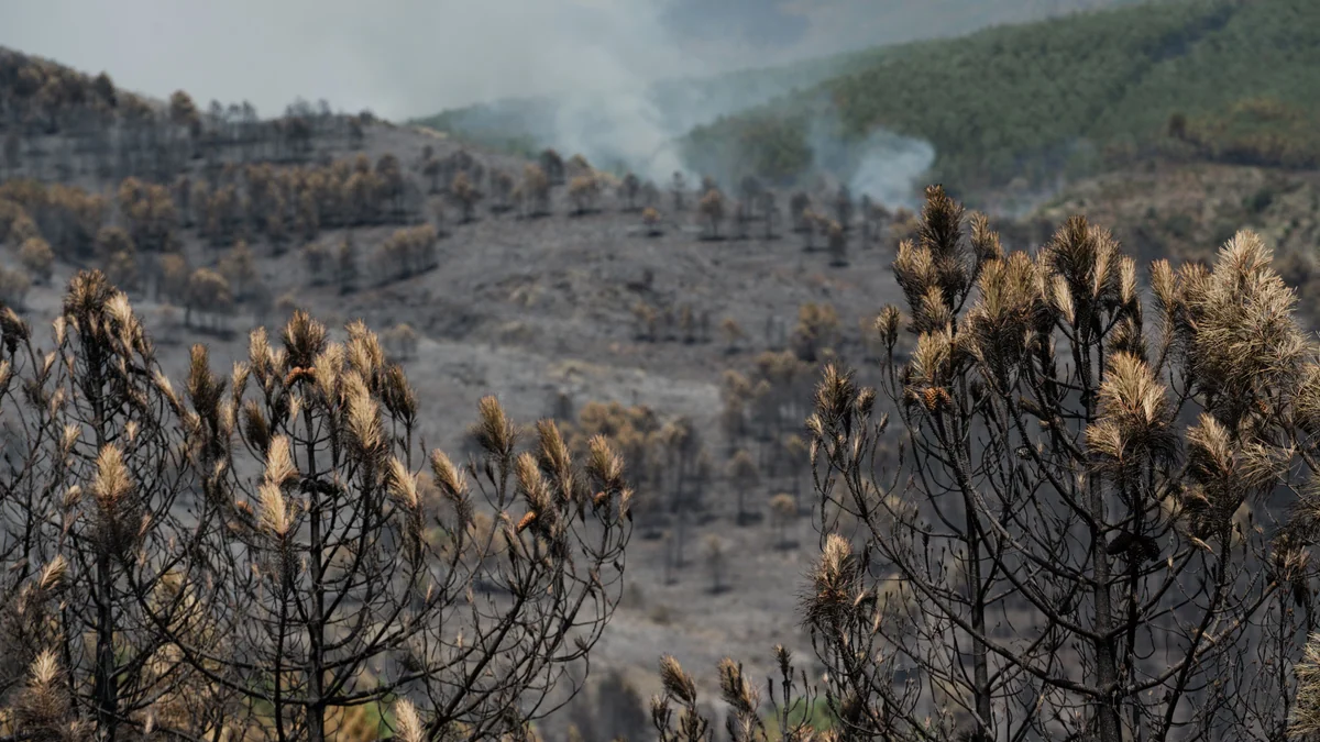 El incendio de La Mierla suma 5.500 hectáreas afectadas y 600 evacuados en 15 municipios