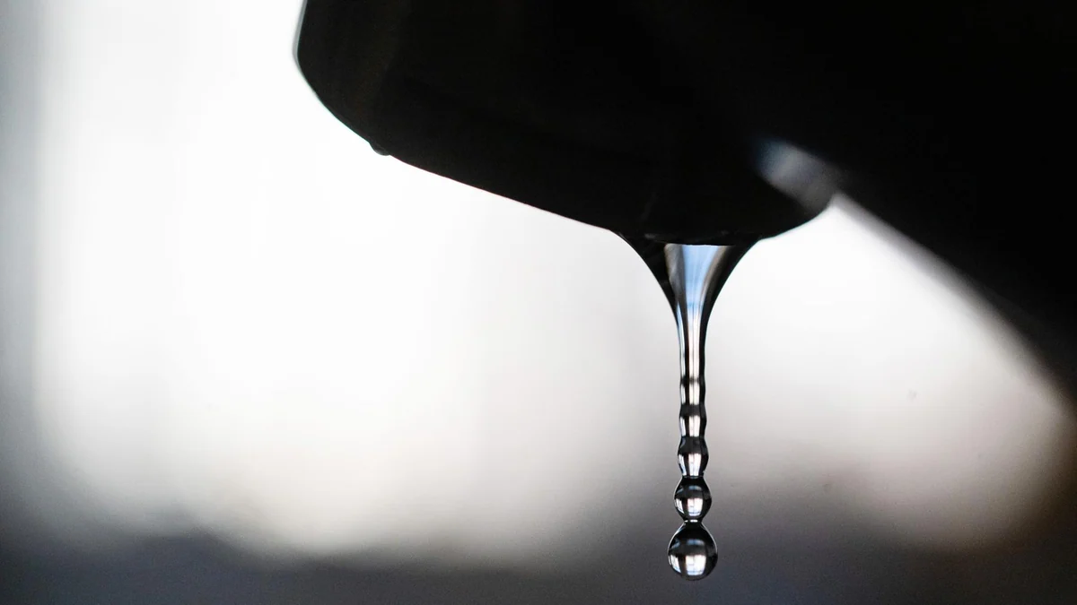 Hitze-Liveblog: ++ Kommunen rufen zum Wassersparen auf ++