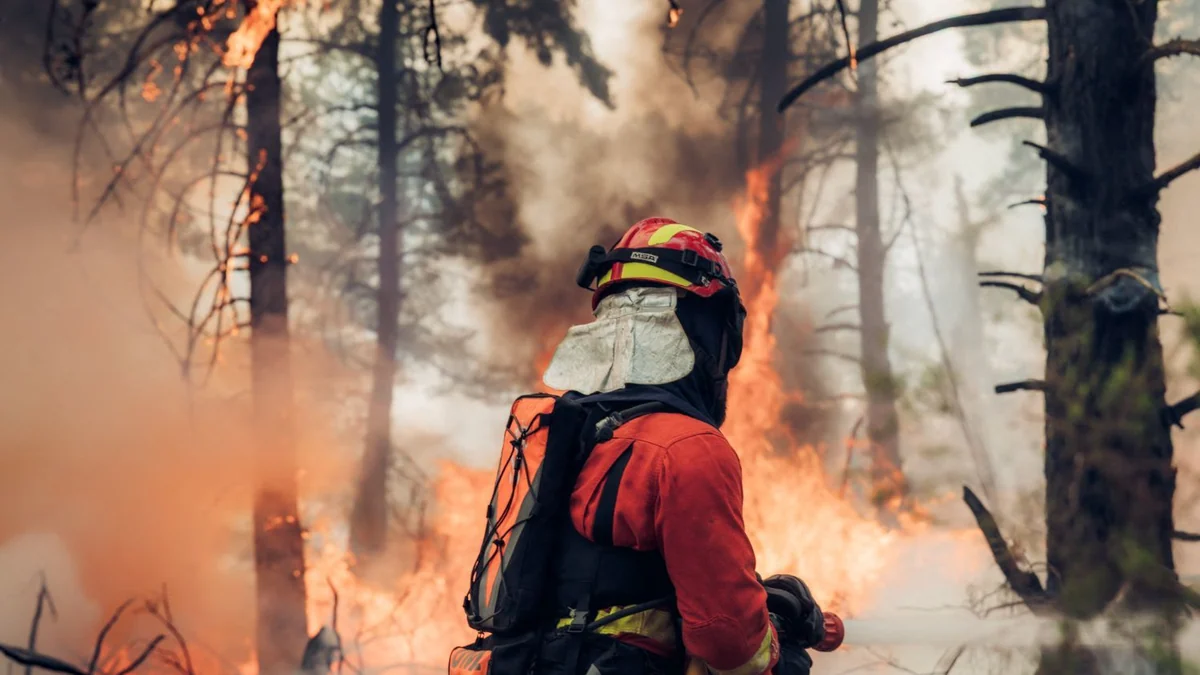 Sánchez pide un gran pacto de Estado sobre emergencia climática en su visita al incendio de La Mierla en Guadalajara que ya ha arrasado 32.000 hectáreas