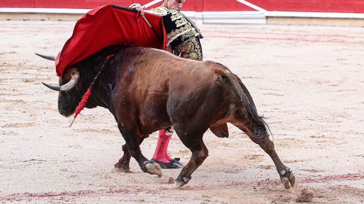 La mala suerte de una corrida muy movida de La Palmosilla en Pamplona