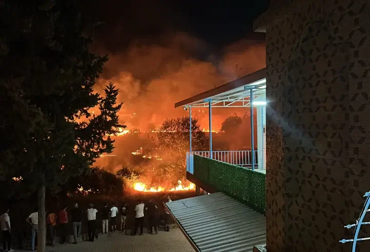 Dere kenarındaki ot yangını söndürüldü