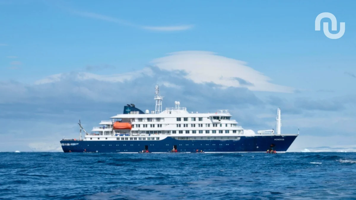 Létalité de 50 % : la redoutable souche d’hantavirus qui a frappé cette croisière