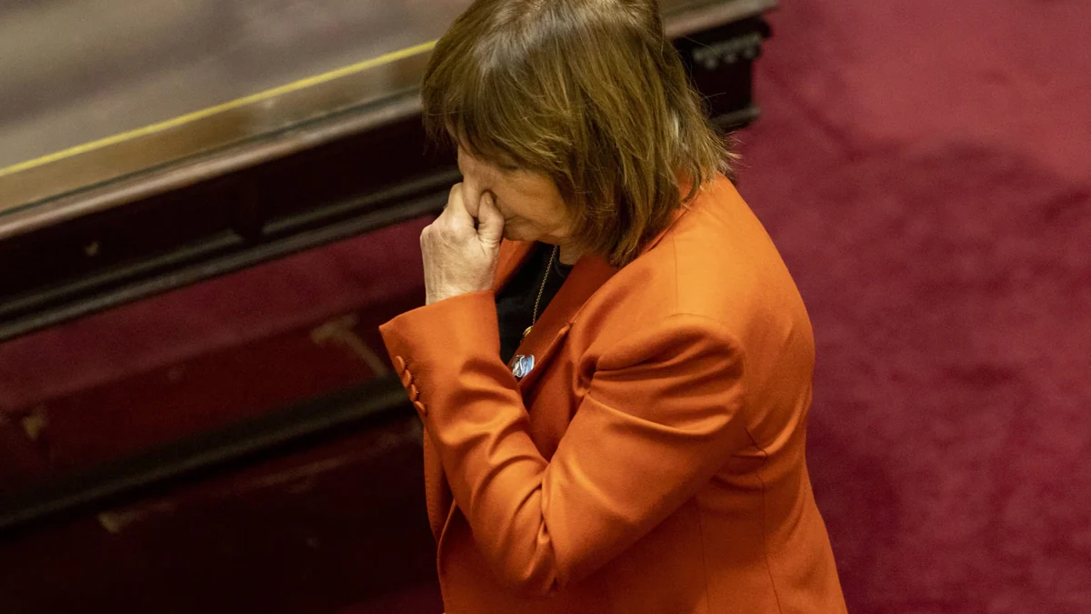 Los aliados presionan a Bullrich por Ficha Limpia en el Senado y se le suma otro problema sin resolución