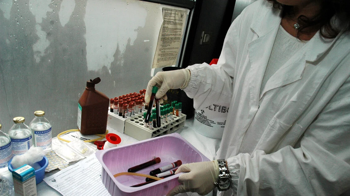 Tumori del sangue, 30mila casi l'anno in Italia ma la ricerca cambia il futuro