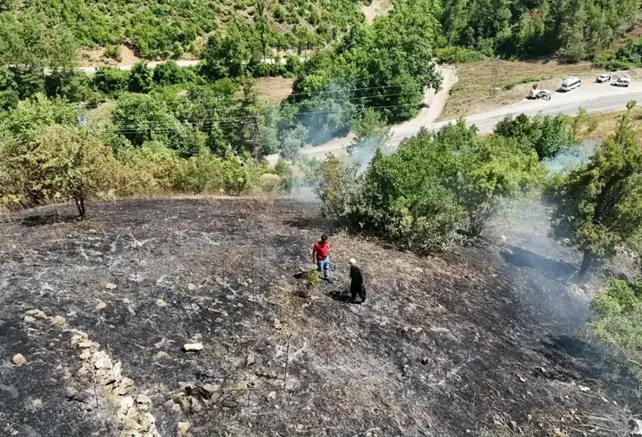 Adana'nın Feke ilçesinde orman yangını çıktı