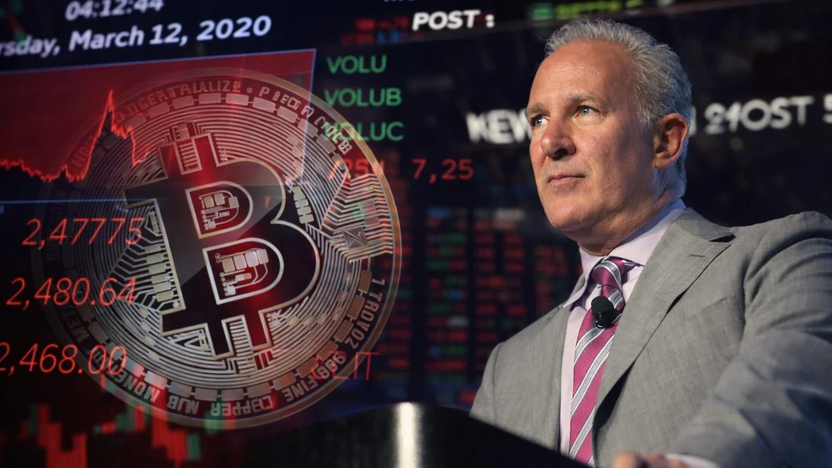 Bitcoin auf 20.000 Dollar? Peter Schiff hält den Crash für realistisch
