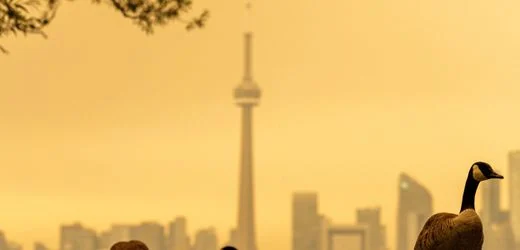 Toronto: Metropole in Kanada hat wegen Waldbränden schlechteste Luftqualität der Welt