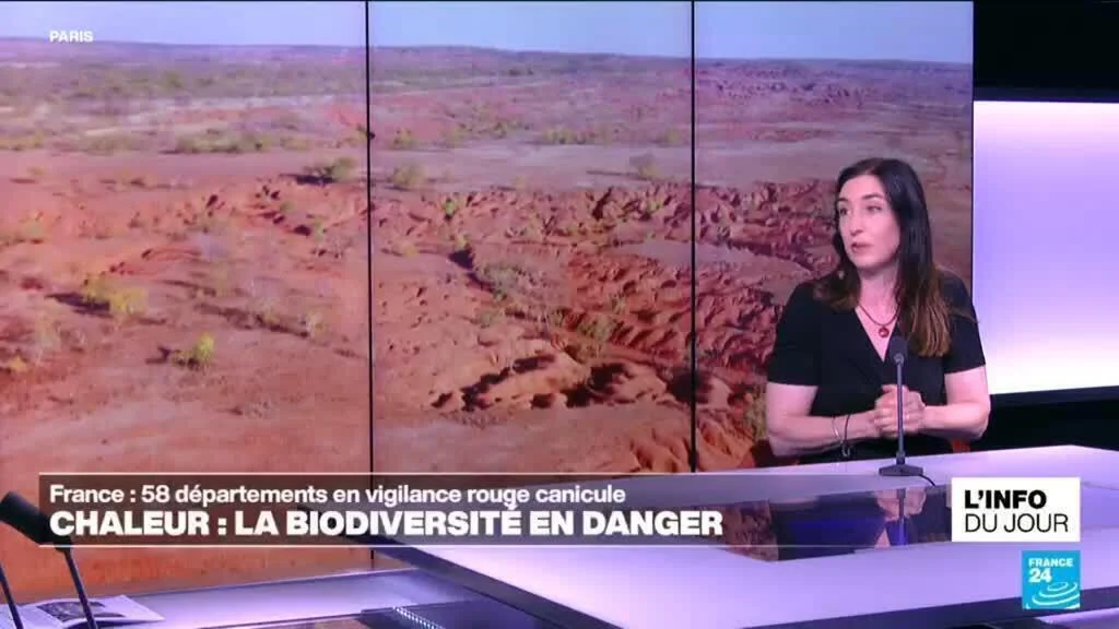 Canicule : "la plus grande priorité, c'est de garder notre planète habitable"
