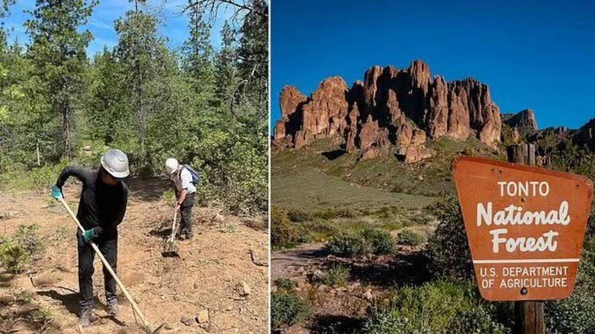 Vivió 8 años escondido en un bosque de Arizona entre 450 kilos de basura: cayó tras ignorar 6 órdenes de arresto