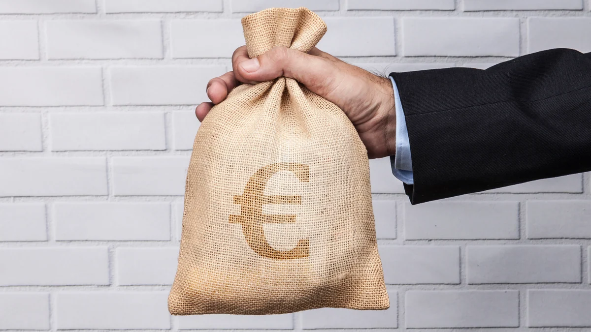 Dónde invierten los fondos que ganan más del 100% en un año