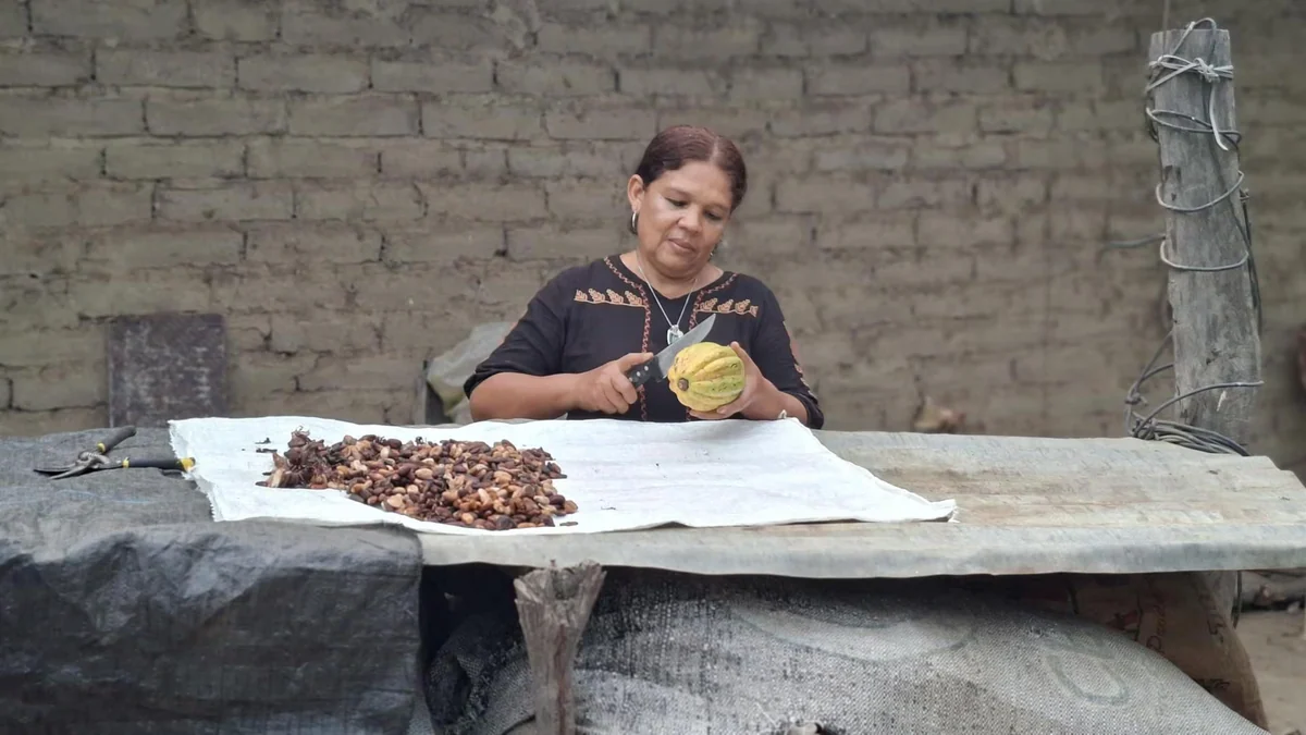 El cacao se consolida como motor de sostenibilidad en República Dominicana y de autonomía para mujeres rurales en Perú