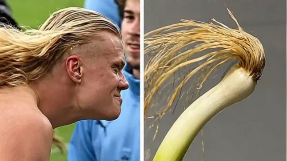 Erling Haaland im Netz: Dieser Mann ist ein Meme!