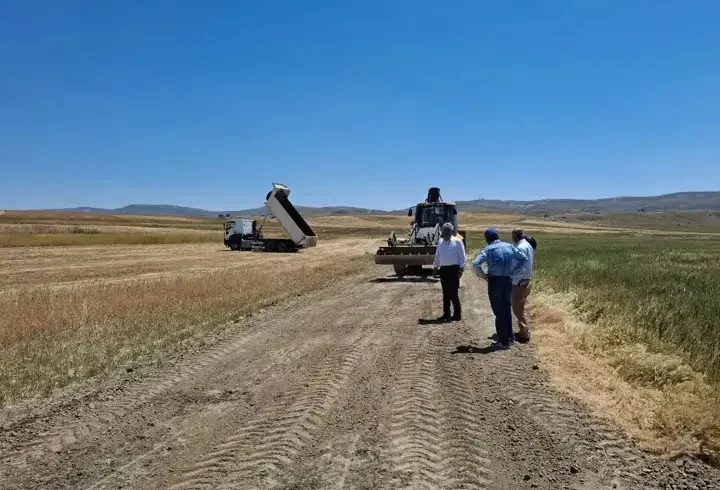 Ulaş Belediyesi tarla yollarını hasada hazırlıyor