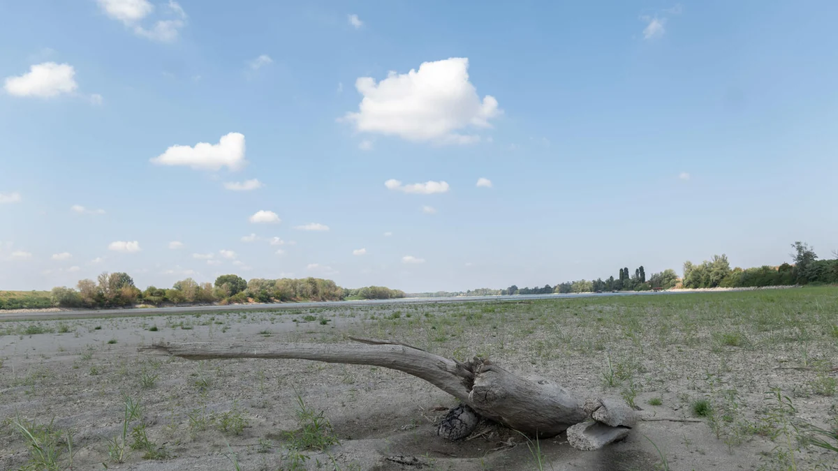 Il grande fiume in secca, nel Po siccità ai livelli del 2022