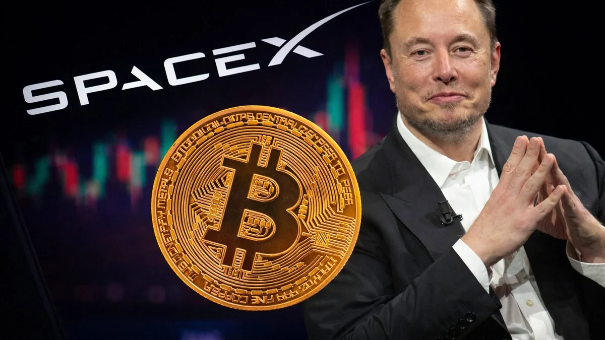 Alle kaufen SpaceX – macht das Bitcoin zum Geheimfavoriten? Das sagt BTC-ECHO