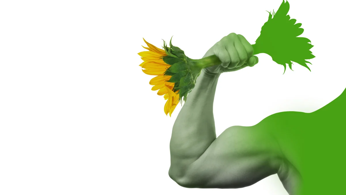 Streit über Rollenbilder: Dürfen grüne Männer pumpen gehen?