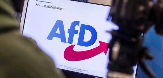 AfD: Verfassungsschutz darf gesamte Partei beobachten
