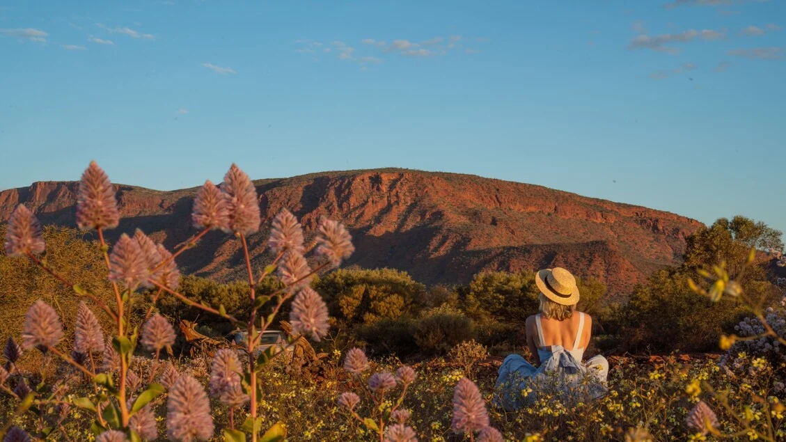 Un'estate di fiori e stelle in Australia, stargazing con leggenda anche in Giappone