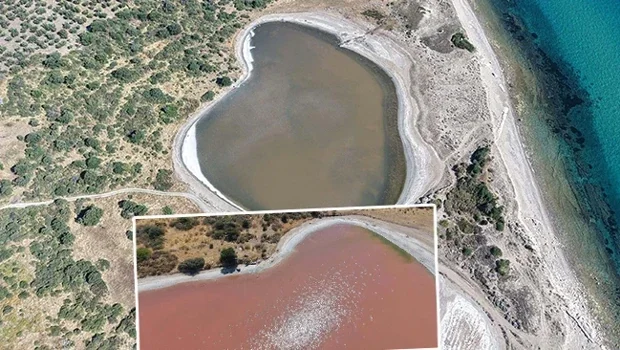 Dünyada az sayıda var: Yeniden pembe rengine büründü