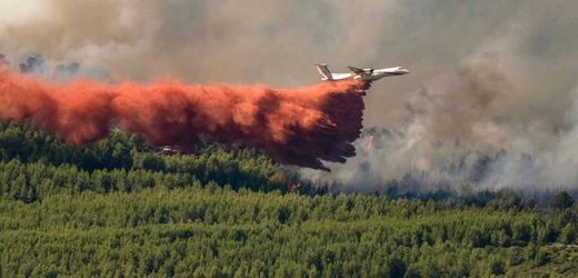Südfrankreich: Brände zerstören Hunderte Hektar Land