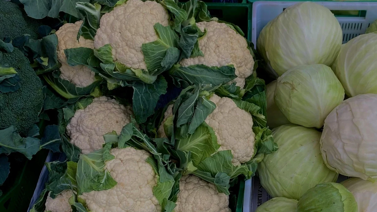 Adiós a tomar sólo lácteos: estos son los alimentos olvidados que fortalecen tus huesos a partir de los 50