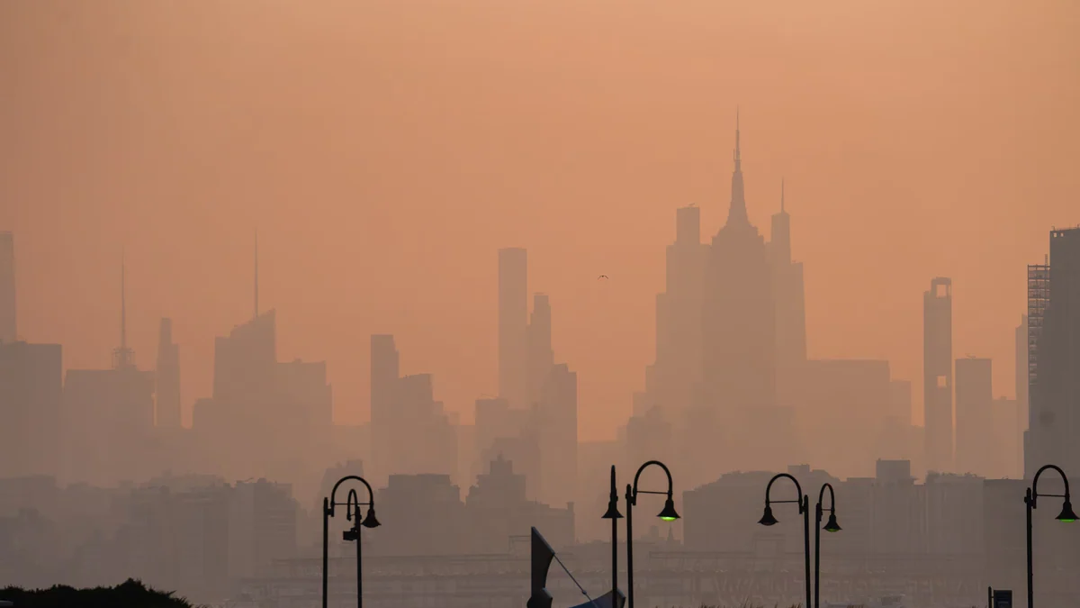 Más de 1,5 millones de personas mueren al año por el humo de incendios forestales y el riesgo sigue en aumento