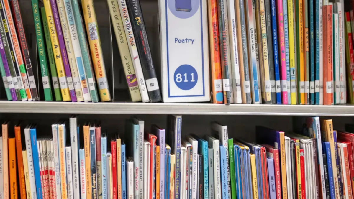 Hito educativo en Florida: más del 60% de los estudiantes rinde al nivel de su grado o superior en lengua y matemáticas