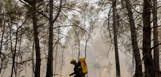 Waldbrände in Spanien, Frankreich, Deutschland: Diese Feuersaison ist noch lange nicht vorbei