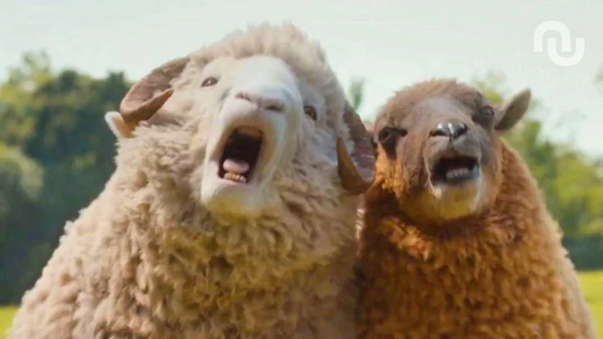 Vous aimez les animaux ? Les Moutons Détectives devient le film le plus vu dans le monde sur Prime Video
