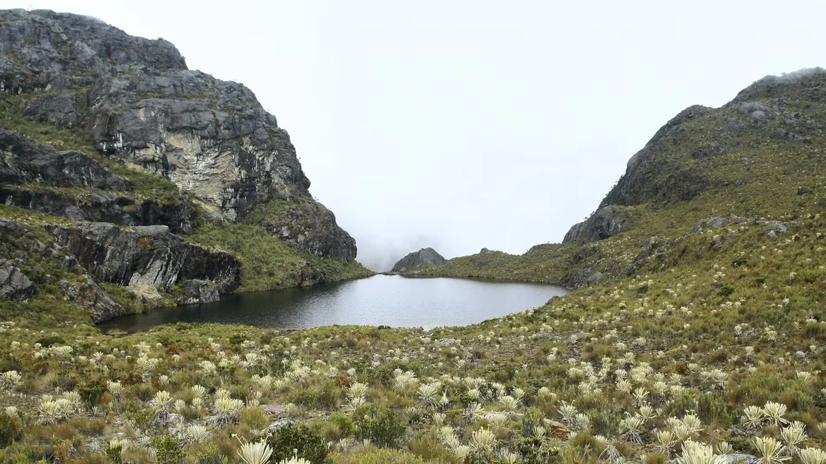 Minería ilegal gana terreno en Santurbán por retrasos de más de ocho años, alertan organismos de control
