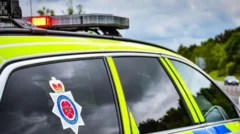 Woman dies trying to rescue dog from sea