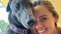 Greyhound who refuses to race finds new home in US