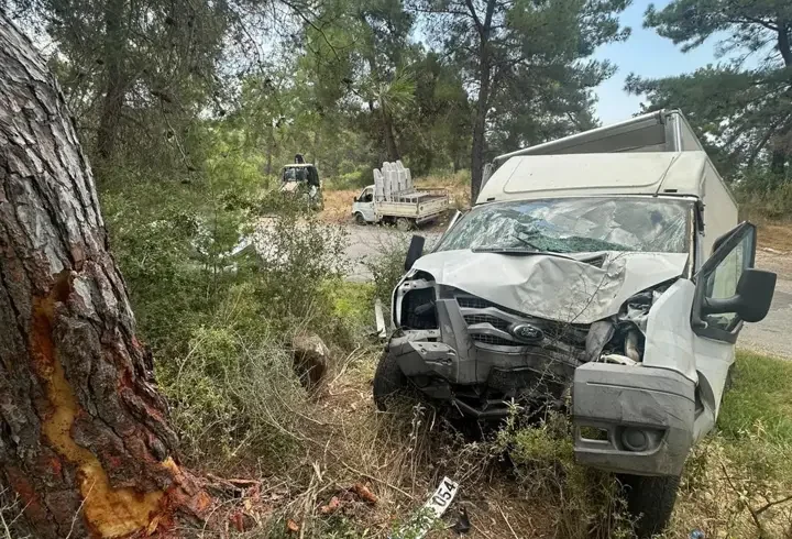 Kamyonet ağaca çarptı: 1 ölü