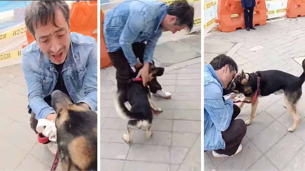 Apareció ‘Guaro’: el actor Jorge Hugo Marín reveló cómo recuperó a su mascota, que había sido robada por delincuentes que los escopolaminaron