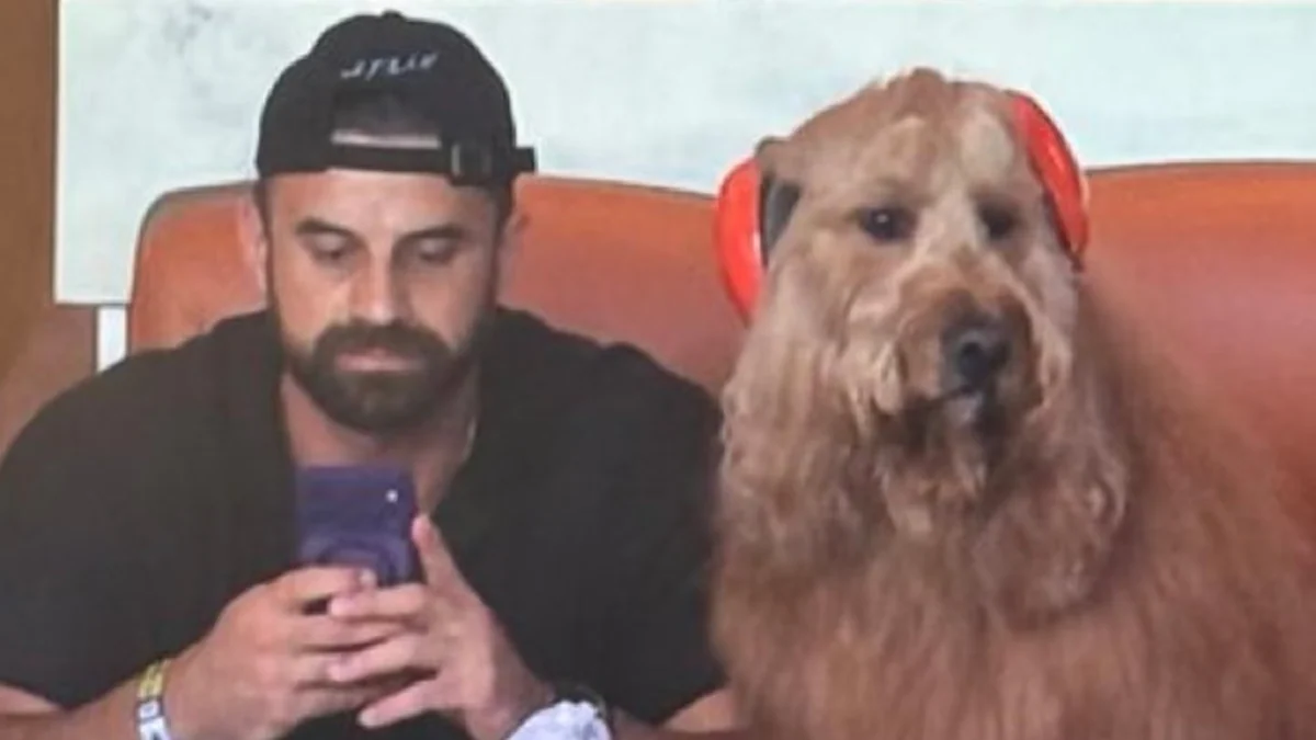 El perro influencer con auriculares protectores se robó las miradas en el partido entre Argentina y Cabo Verde