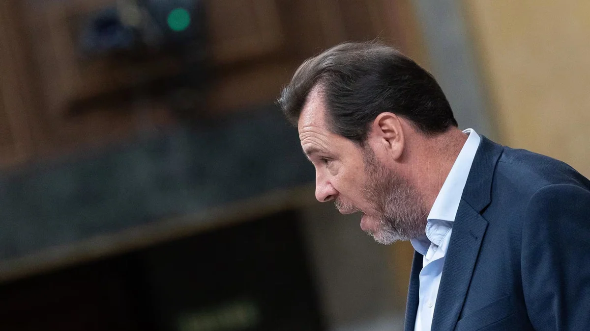 Puente critica que la Justicia penal se pronuncie sobre una plaza pública y dice tendrán "muchísimo trabajo"