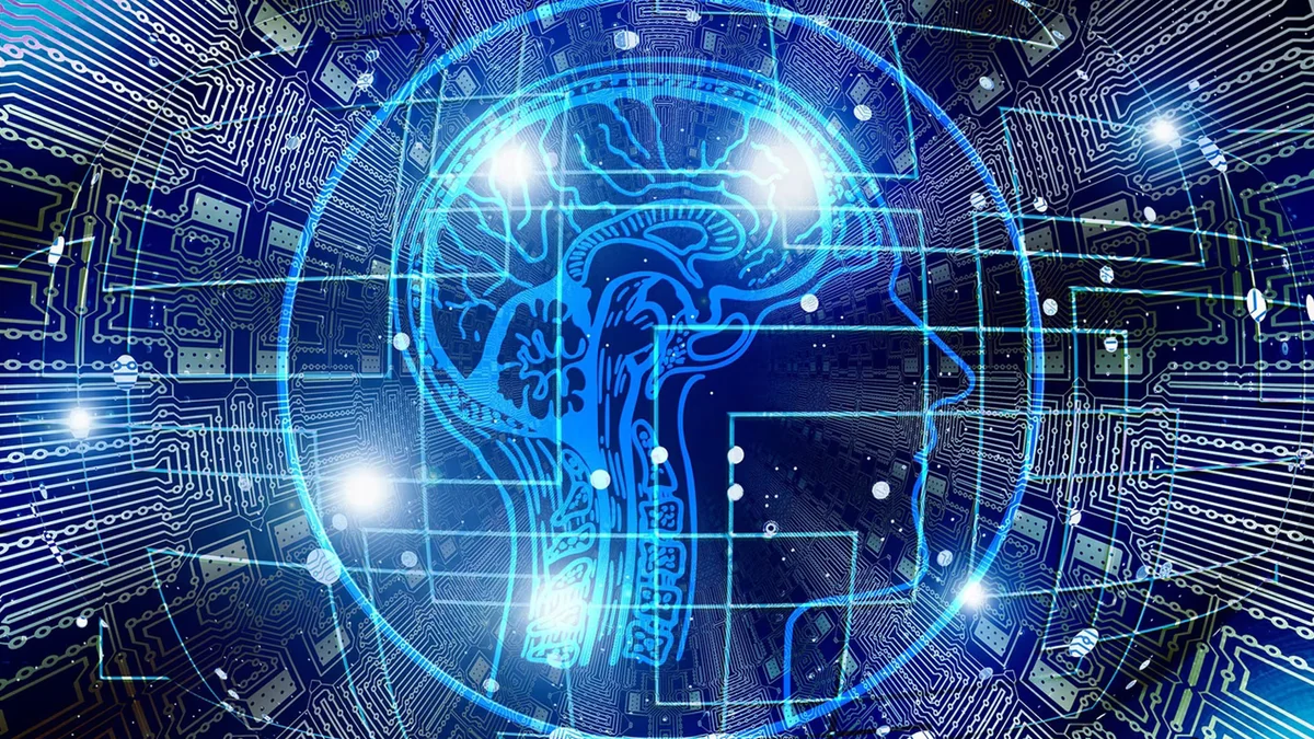 Acostarse como experto, despertar como novato: un nuevo orden para el conocimiento