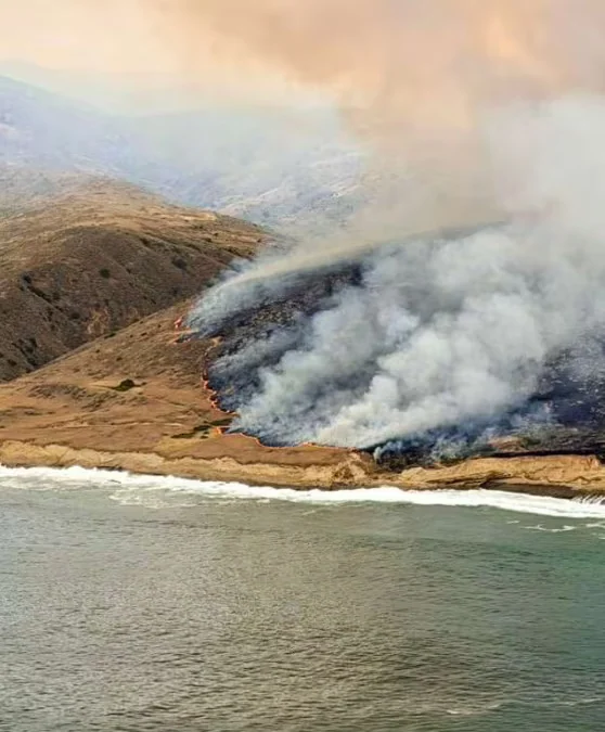 Incendios forestales en Estados Unidos: el comienzo más severo de los últimos años preocupa a expertos