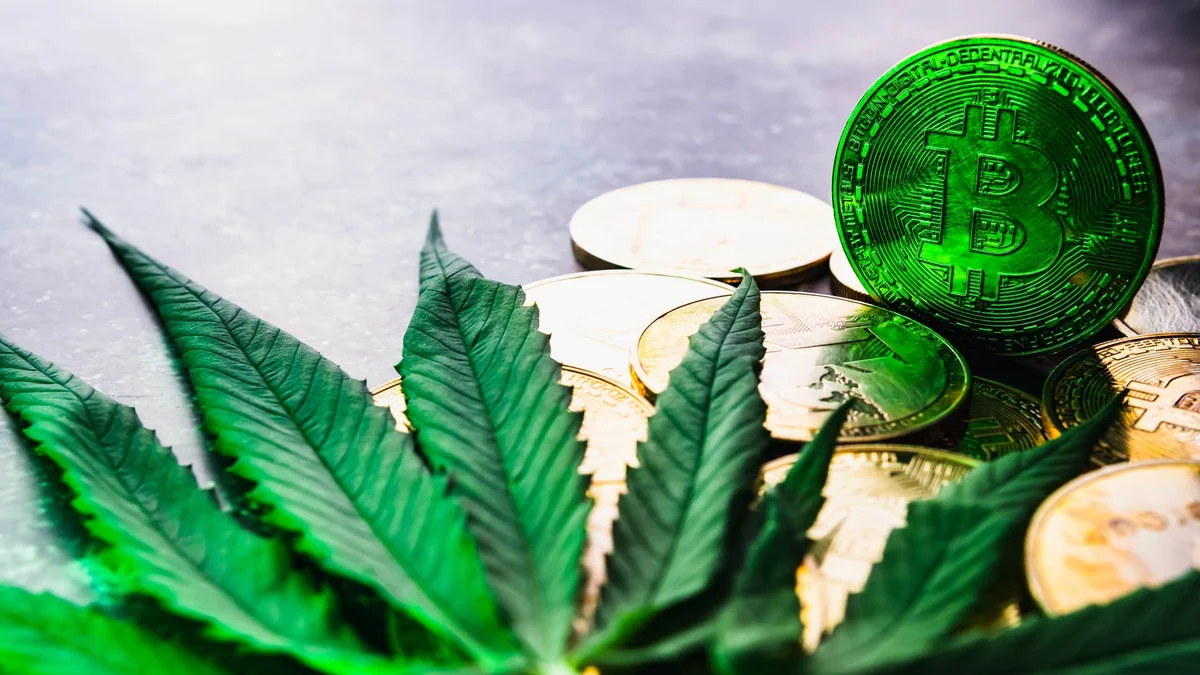 500 Bitcoin aus einem Drogenfall bewegt sich nach Jahren plötzlich wieder