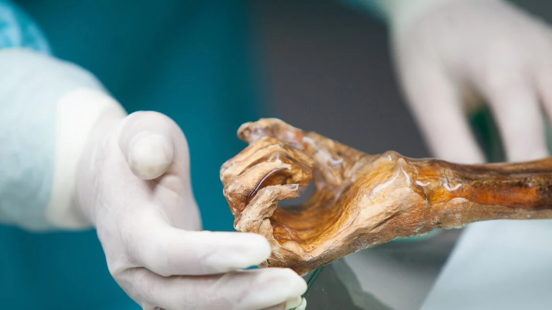 Ötzi, svelato il microbioma di 5mila anni fa