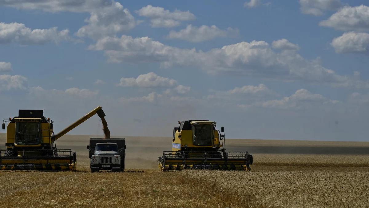 Un proyecto financiado por la OTAN recurre a la biotecnología para restaurar los suelos agrícolas dañados por la guerra en Ucrania, el “granero de Europa”