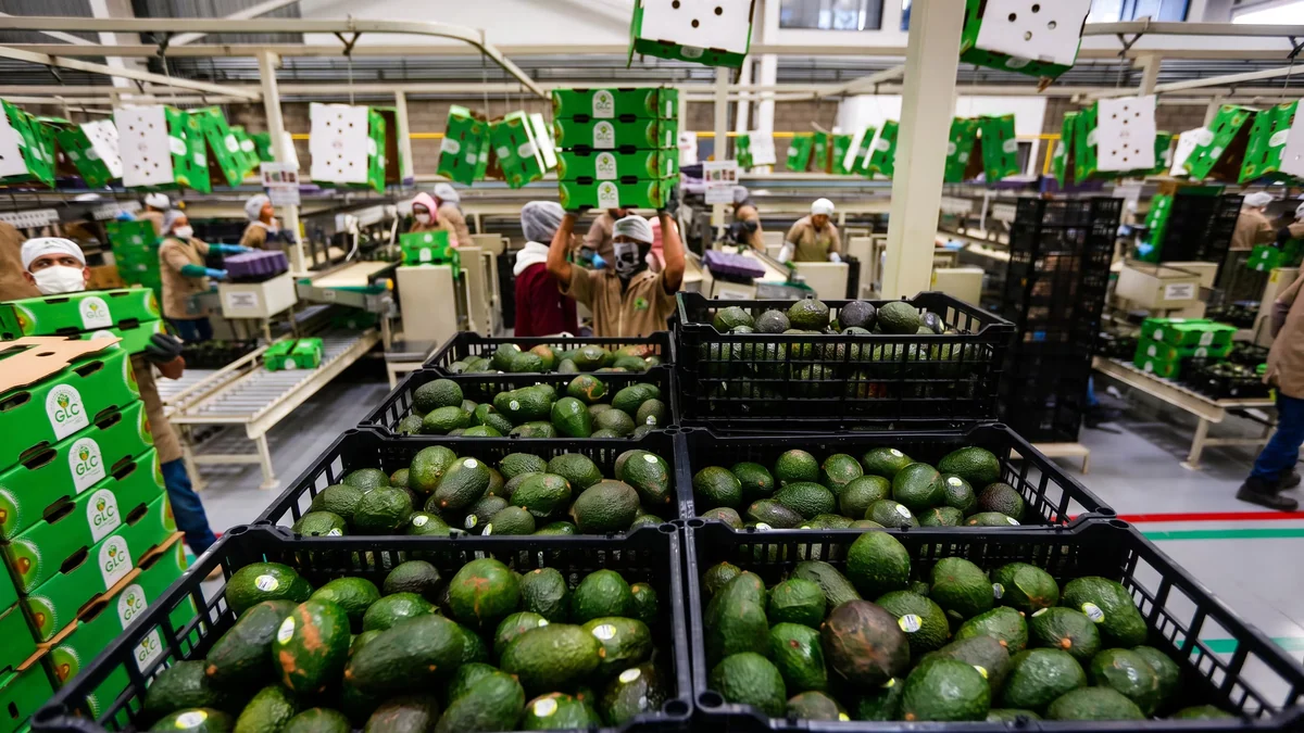 Primer semestre de 2026 deja menos empleos y más cierres de empresas en Jalisco, advierte Coparmex