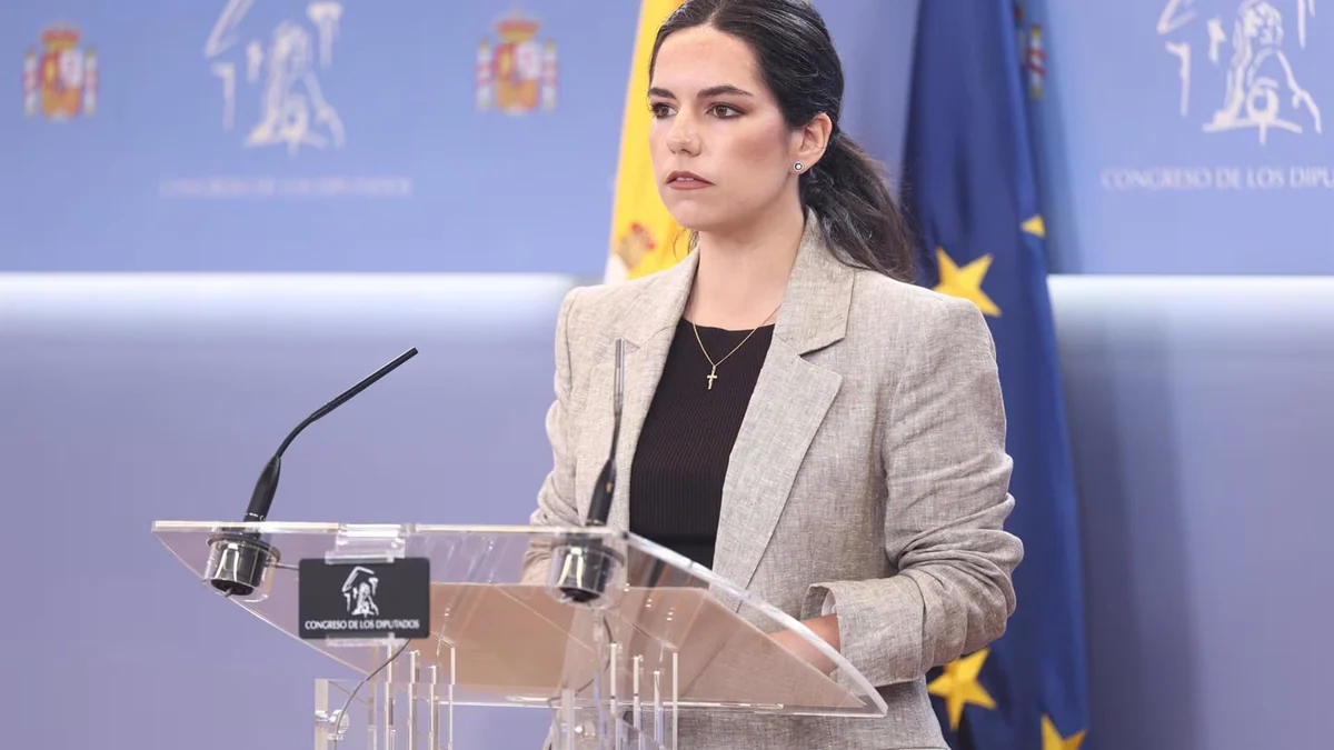 Vox cree que si el DAO dimitiera tendría que hacerlo Sánchez y pide "echarles"