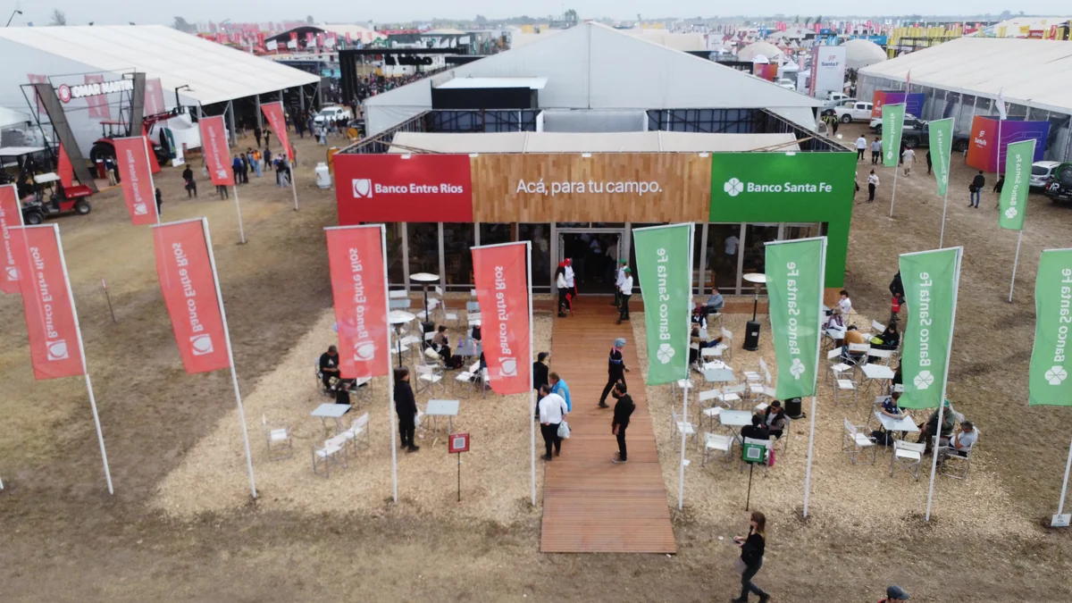 Financiamiento digital y soluciones a medida: la apuesta de los bancos para acompañar al sector agropecuario