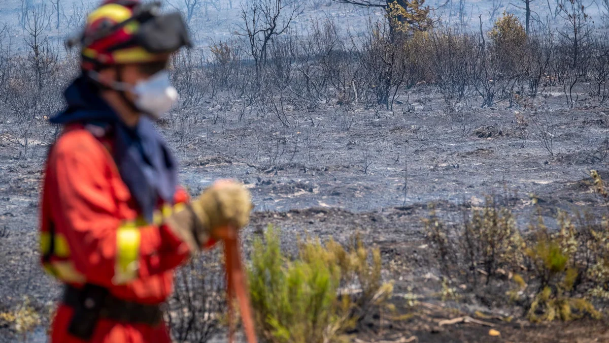 El incendio en La Mierla (Guadalajara) amenaza con convertirse en el peor de la historia de España, con 32.000 hectáreas arrasadas