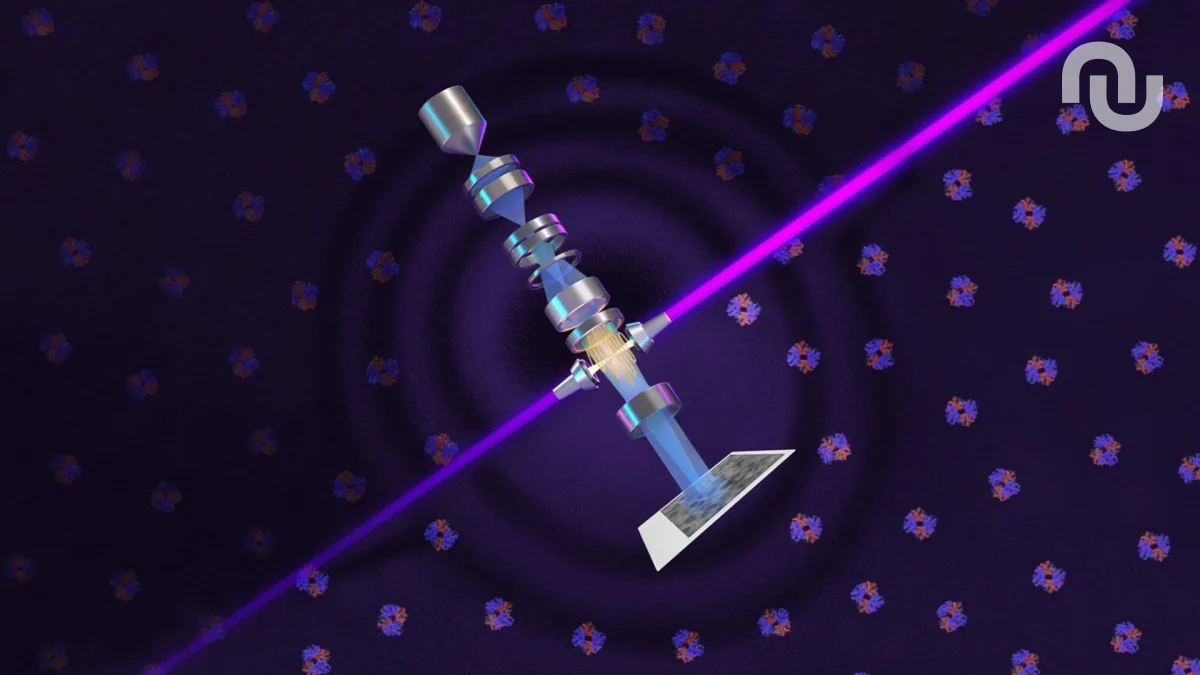 Ce laser de l’extrême s’attaque aux secrets les plus profonds de nos cellules