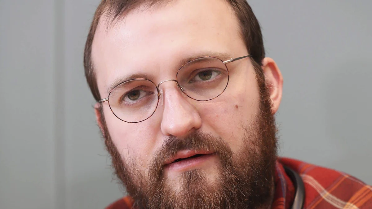 Charles Hoskinson warnt vor Pleitewelle bei Cardano