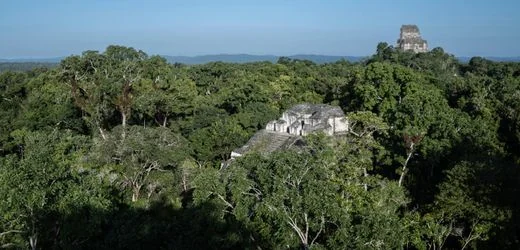 Maya-Stätte: Archäologen entschlüsseln Namen eines Astronoms und Mathematikers