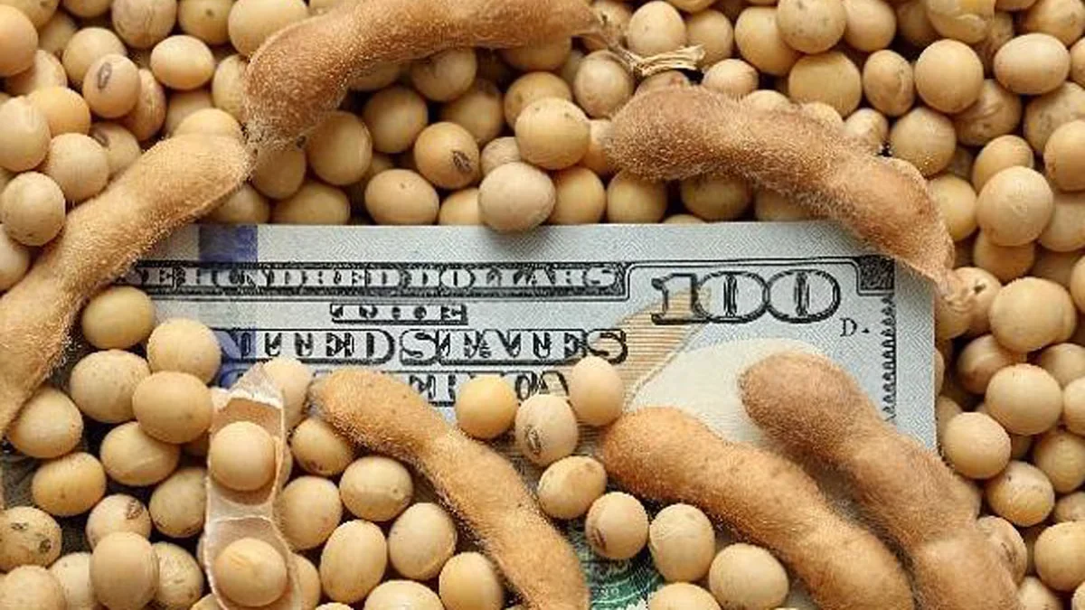 Agrodólares: por qué viene lenta la liquidación del campo y cómo puede influir en el tipo de cambio